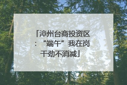 漳州台商投资区：“端午”我在岗 干劲不消减