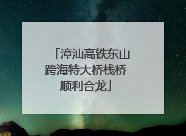 漳汕高铁东山跨海特大桥栈桥顺利合龙