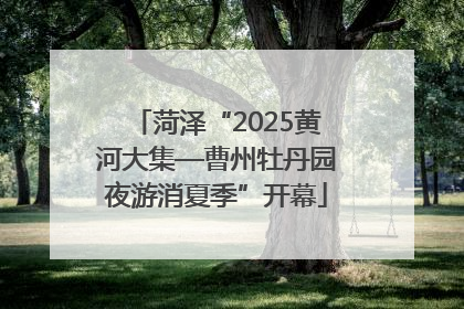 菏泽“2025黄河大集—曹州牡丹园夜游消夏季”开幕