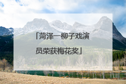 菏泽一柳子戏演员荣获梅花奖