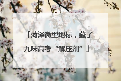 菏泽微型地标，藏了九味高考“解压剂”