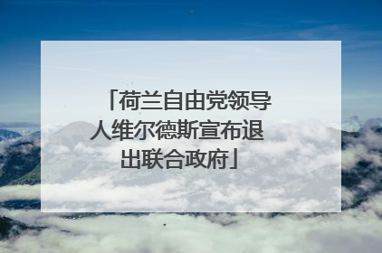 荷兰自由党领导人维尔德斯宣布退出联合政府