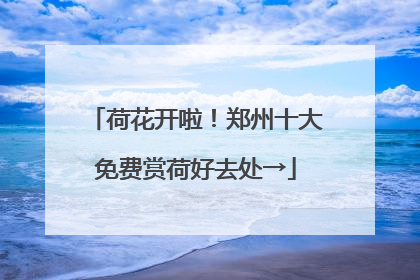 荷花开啦！郑州十大免费赏荷好去处→