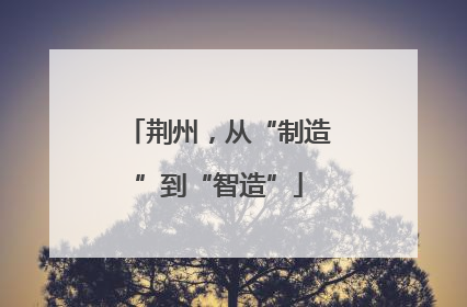 荆州，从“制造”到“智造”