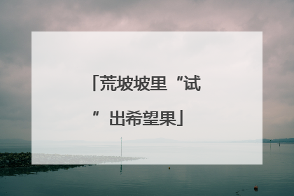 荒坡坡里“试”出希望果