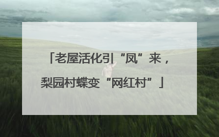 老屋活化引“凤”来,梨园村蝶变“网红村”
