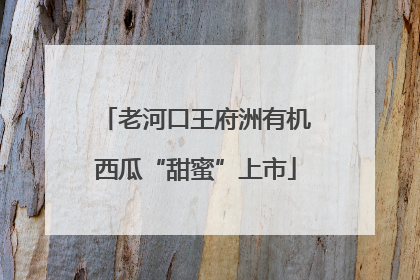 老河口王府洲有机西瓜“甜蜜”上市