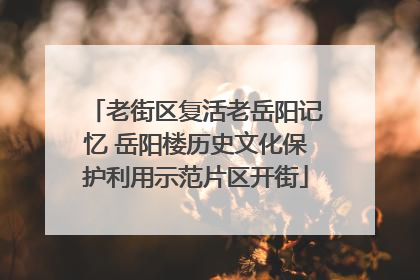 老街区复活老岳阳记忆 岳阳楼历史文化保护利用示范片区开街