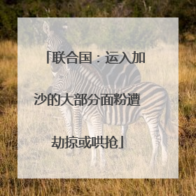 联合国：运入加沙的大部分面粉遭劫掠或哄抢