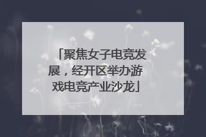 聚焦女子电竞发展，经开区举办游戏电竞产业沙龙
