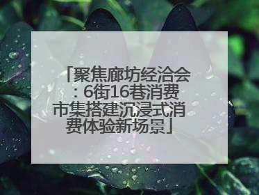 聚焦廊坊经洽会：6街16巷消费市集搭建沉浸式消费体验新场景