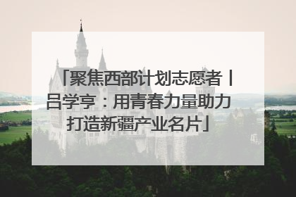 聚焦西部计划志愿者丨吕学亨：用青春力量助力打造新疆产业名片