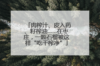 肉榨汁、皮入药、籽榨油……在枣庄，一颗石榴被这样“吃干榨净”