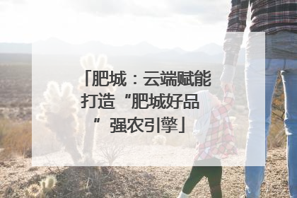 肥城：云端赋能 打造“肥城好品”强农引擎