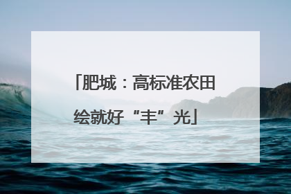 肥城：高标准农田绘就好“丰”光