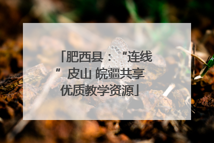肥西县：“连线”皮山 皖疆共享优质教学资源