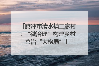 腾冲市清水镇三家村：“微治理”构建乡村善治“大格局”