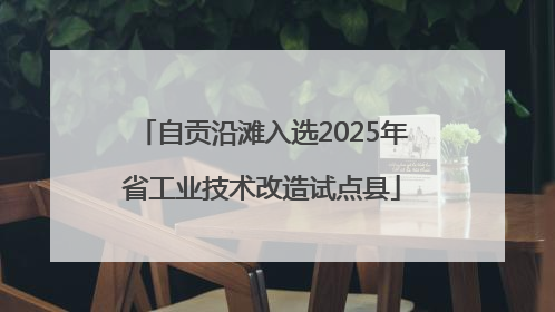 自贡沿滩入选2025年省工业技术改造试点县