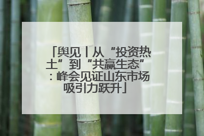 舆见丨从“投资热土”到“共赢生态”：峰会见证山东市场吸引力跃升