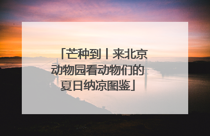 芒种到丨来北京动物园看动物们的夏日纳凉图鉴