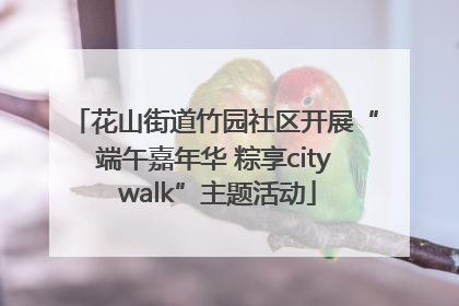 花山街道竹园社区开展“端午嘉年华 粽享city walk”主题活动