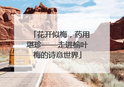 花开似梅，药用堪珍——走进榆叶梅的诗意世界