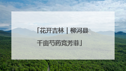 花开吉林｜柳河县千亩芍药竞芳菲
