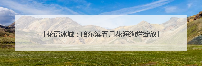 花语冰城：哈尔滨五月花海绚烂绽放