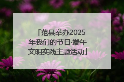 范县举办2025年我们的节日·端午文明实践主题活动