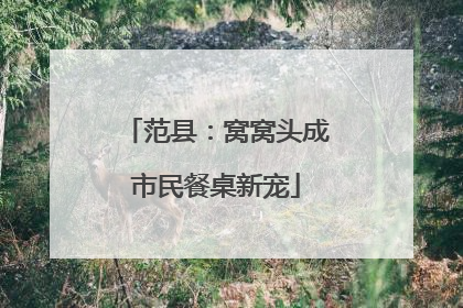 范县：窝窝头成市民餐桌新宠