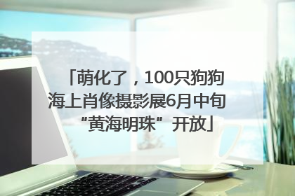 萌化了，100只狗狗海上肖像摄影展6月中旬“黄海明珠”开放