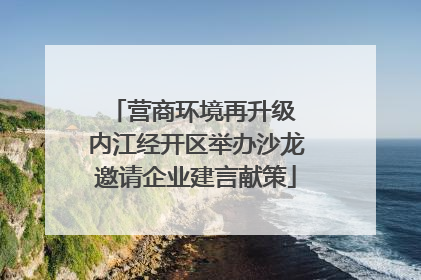 营商环境再升级 内江经开区举办沙龙邀请企业建言献策