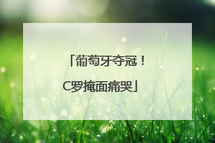 葡萄牙夺冠！C罗掩面痛哭