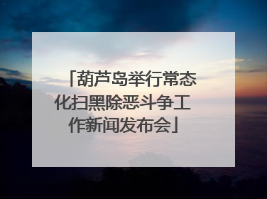 葫芦岛举行常态化扫黑除恶斗争工作新闻发布会