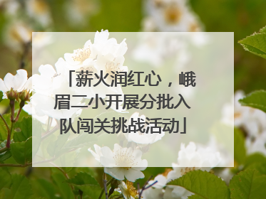 薪火润红心，峨眉二小开展分批入队闯关挑战活动