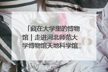 藏在大学里的博物馆｜走进河北师范大学博物馆天地科学馆：在校园里赴一场“宇宙之约”