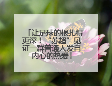 让足球的根扎得更深！“苏超”见证一群普通人发自内心的热爱