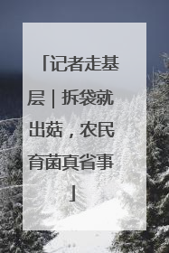 记者走基层｜拆袋就出菇，农民育菌真省事