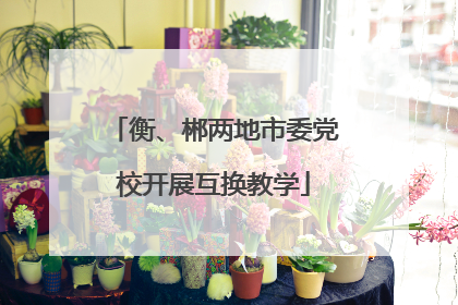 衡、郴两地市委党校开展互换教学