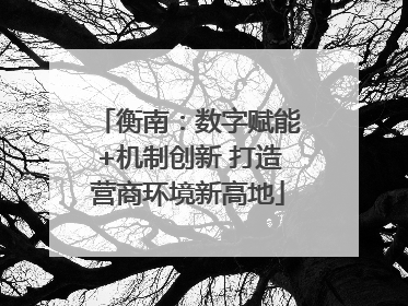 衡南：数字赋能+机制创新 打造营商环境新高地