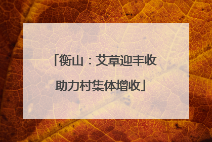 衡山：艾草迎丰收 助力村集体增收