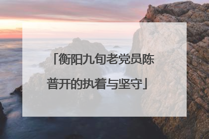 衡阳九旬老党员陈普开的执着与坚守