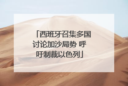 西班牙召集多国讨论加沙局势 呼吁制裁以色列