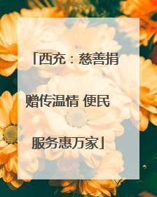 西充：慈善捐赠传温情 便民服务惠万家