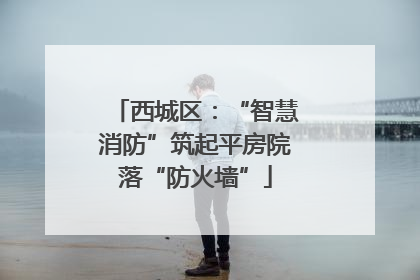 西城区：“智慧消防”筑起平房院落“防火墙”