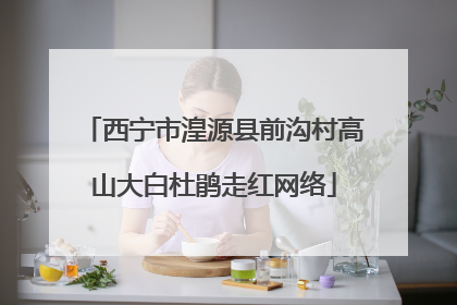 西宁市湟源县前沟村高山大白杜鹃走红网络