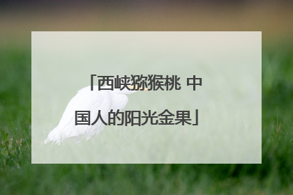 西峡猕猴桃 中国人的阳光金果