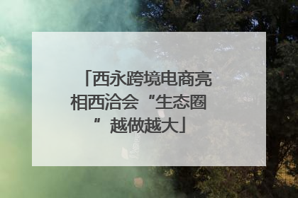 西永跨境电商亮相西洽会“生态圈”越做越大