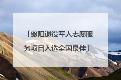 襄阳退役军人志愿服务项目入选全国最佳