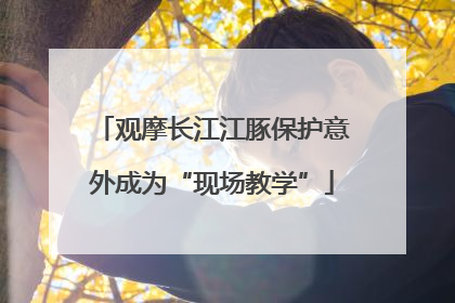 观摩长江江豚保护意外成为“现场教学”